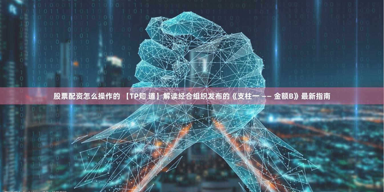 股票配资怎么操作的 【TP知 道】解读经合组织发布的《支柱一 —— 金额B》最新指南