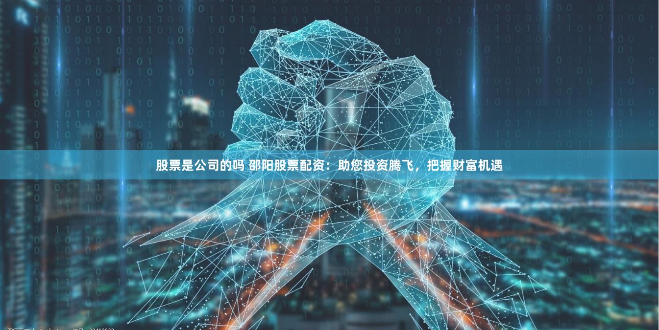 股票是公司的吗 邵阳股票配资：助您投资腾飞，把握财富机遇